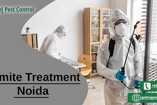 Termite Treatment Noida