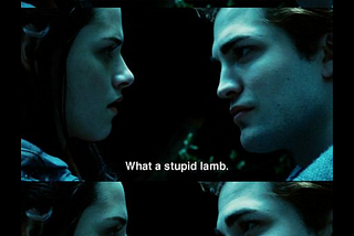 “ AND SO THE LION FELL IN LOVE WITH THE LAMB” by STEPHENIE MEYER.