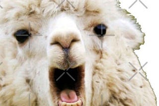 Which Capitalization of the Self Am I?: An Exploration of Identity Through Memes