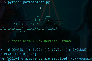 Install and Use ParamSpider (a parameter miner)