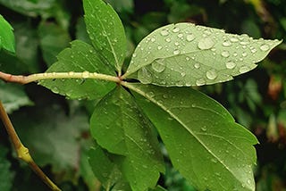 Ventajas de crear contenido sin fecha de vencimiento