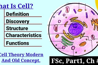 What Is Cell? Cell Structure, Functions, Characteristics, Types, And Cell Theory
