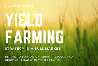 My yield farming strategy on BSC in a bull market