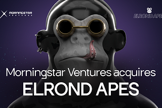 Announcement: Elrond Apes Acquired By Morningstar Ventures