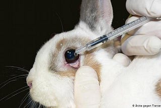 Should we conduct animal testing?