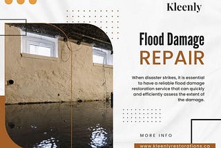 Flood Damage Repair