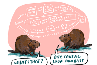 Beavers creating the causal loop masterplan