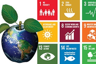Sustainable development and how to improve on it