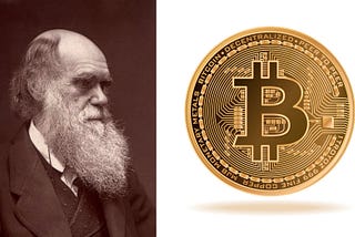 Bitcoin: The Next Wave — An Evolutionary Perspective