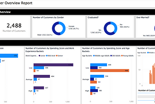 CUSTOMER OVERVIEW ANALYSIS & REPORT — Power BI