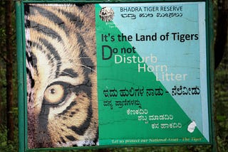 Hunter or Hunted? Karnataka Style Cat & Mouse