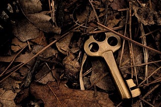 Old key on dead leaves