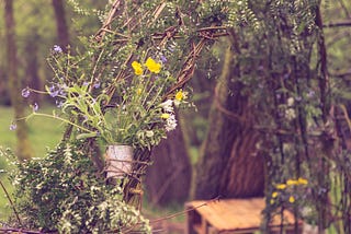 Wedding Toucans! Anna and Simon, May 2015