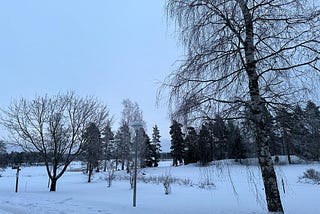 Vipassana na Finlândia: uma experiência meditativa entre o lixo e a neve.