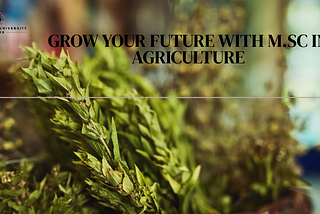 Cultivating Success: Pursuing an M.Sc. in Agriculture