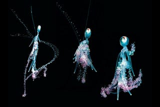 Seeing like a Siphonophore: vertical migration above and below
