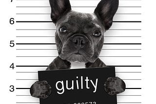 Are you Guilty of Too Much Guilt?