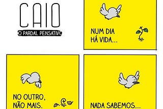 Sobre as vicissitudes da vida