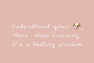 Healing your reactive dog— in 5 steps