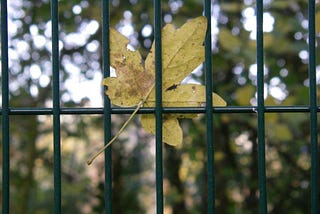 When In a Rut, Try Something New