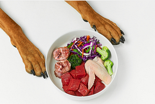 The Ultimate Guide on Chicken Meal in dog food | DogExpress