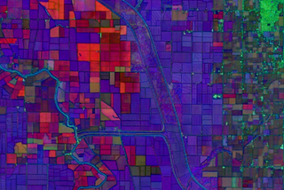 AlphaEarth Foundations Satellite Embeddings: A Look at Our Planet in 2025