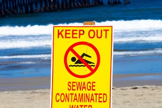 My Favorite Beach is an Ecological Disaster