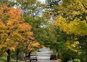 Housing Affordability for the City: The Basics