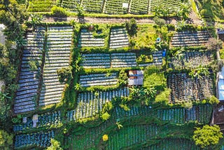 Case study: Finding a way to ensure food sustainability for all