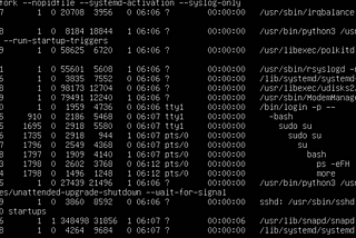 Linux Process Analysis