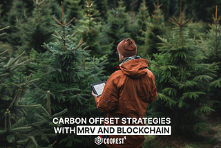 Unlocking B2B Carbon Offset Strategies with MRV and Blockchain