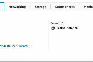 aws ec2 instance dashboard on security tabs