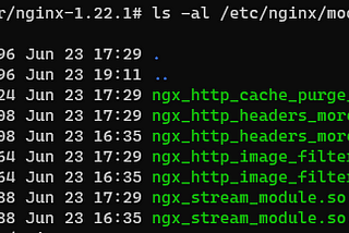 Nginx Cache Purge Module install