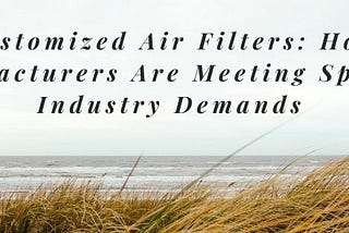 Customized Air Filters: How Manufacturers Are Meeting Specific Industry Demands