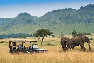 For Americans: Best National Parks to Visit in Kenya From USA