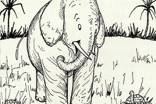 A drawing in simple style of an elephant talking to a turtle.