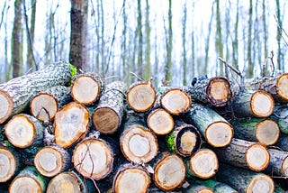 A Guide To Application Logging