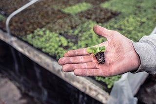 Biomimétisme et libertés