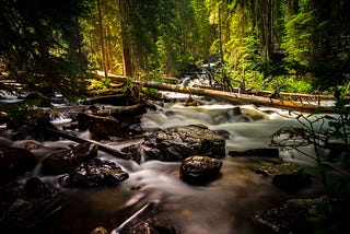 Always Remember: Chop Wood, Carry Water