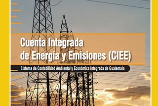 Integrated Energy and Emissions Account: System of Environmental and Economic Accounts of Guatemala (Banguat & URL-Iarna, 2009)