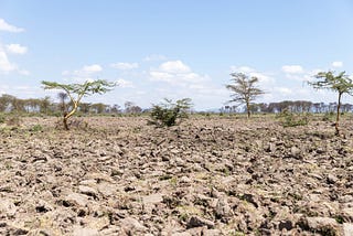 For Smallholder Farmers, Climate Change Is Life or Death