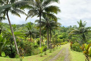 Suva, Fiji