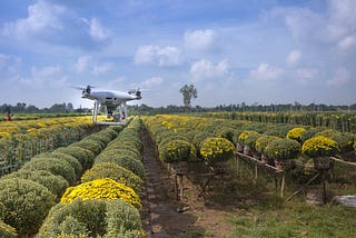 AI taking over Agriculture