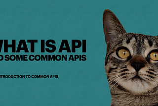 What is API and some common APIs