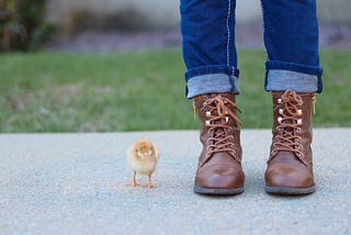 The Best Boots Have Straps: The Case for Bootstrapping Your Start-up