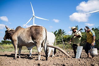 The Dirty Side of Clean Energy: Environmental Injustice and Wind Energy in Oaxaca, Mexico