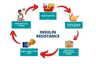 The Role of Diet in Insulin Resistance and Sensitivity