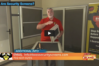 What Are Security Screens?