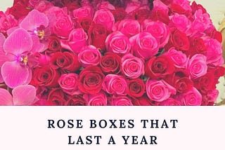 Rose Boxes That Last A Yearloved one