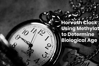 Examining the Horvath Clock and the Significance of Biological Age